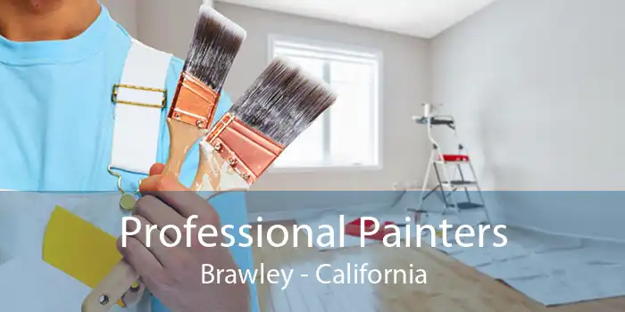 Professional Painters Brawley - California