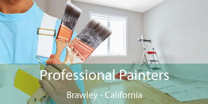 Professional Painters Brawley - California