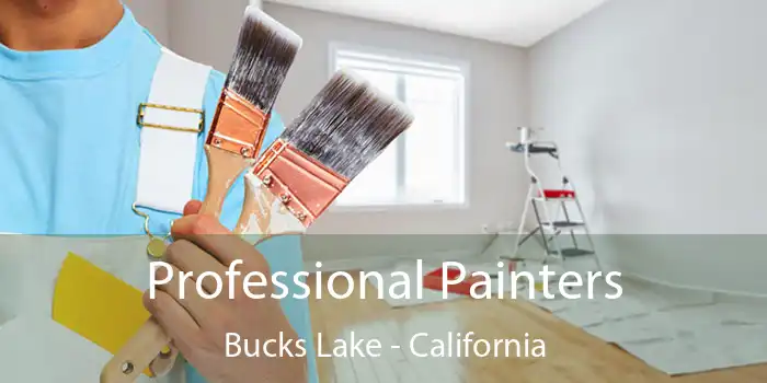 Professional Painters Bucks Lake - California