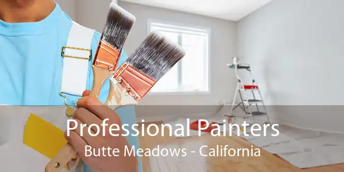 Professional Painters Butte Meadows - California