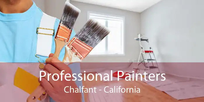 Professional Painters Chalfant - California