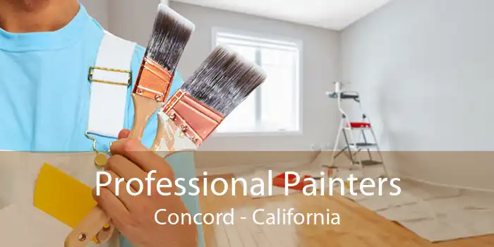 Professional Painters Concord - California