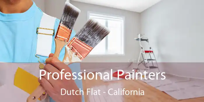 Professional Painters Dutch Flat - California