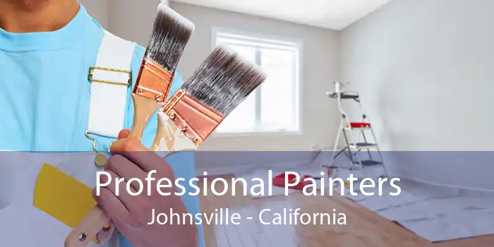 Professional Painters Johnsville - California