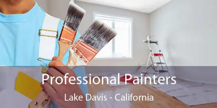 Professional Painters Lake Davis - California