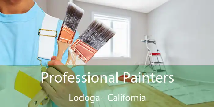 Professional Painters Lodoga - California