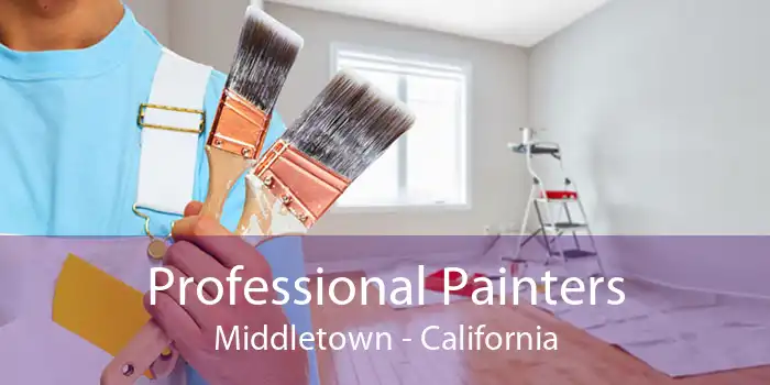 Professional Painters Middletown - California