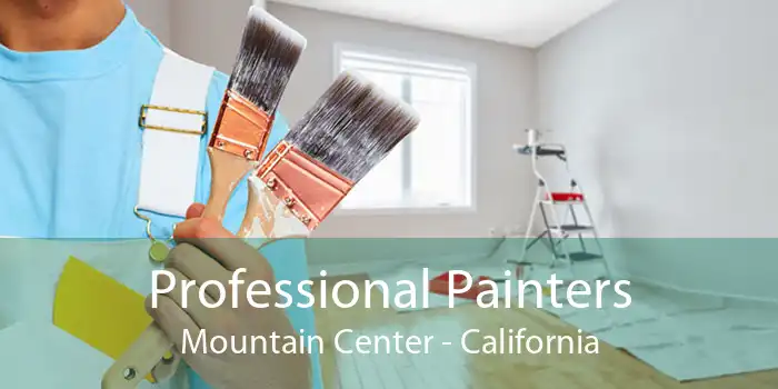 Professional Painters Mountain Center - California