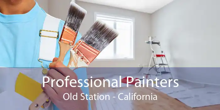 Professional Painters Old Station - California