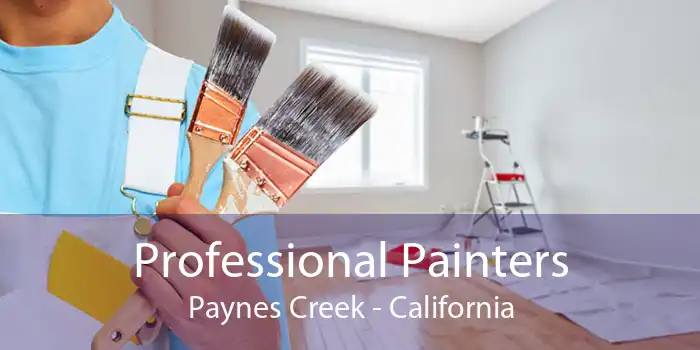 Professional Painters Paynes Creek - California