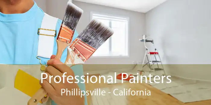 Professional Painters Phillipsville - California
