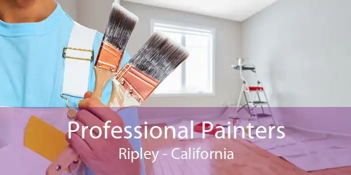 Professional Painters Ripley - California