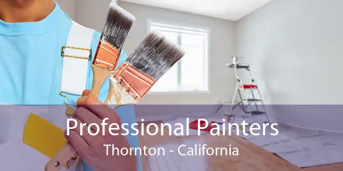 Professional Painters Thornton - California