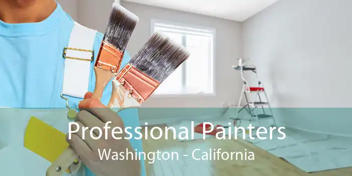 Professional Painters Washington - California