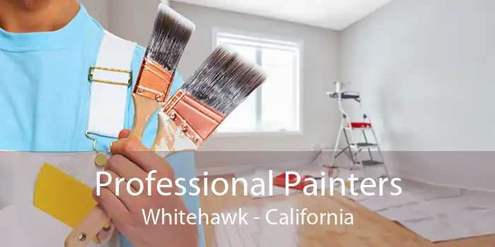 Professional Painters Whitehawk - California