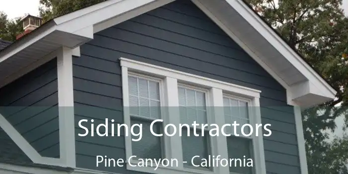 Siding Contractors Pine Canyon - California