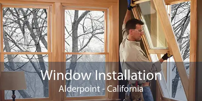 Window Installation Alderpoint - California