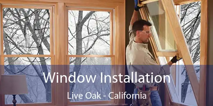 Window Installation Live Oak - California