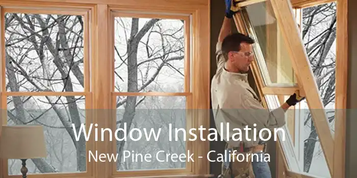 Window Installation New Pine Creek - California