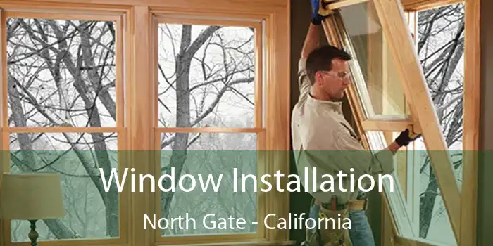 Window Installation North Gate - California