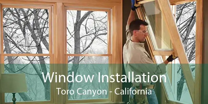 Window Installation Toro Canyon - California