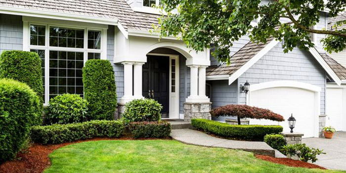 Front Yard landscaping in Atherton 
