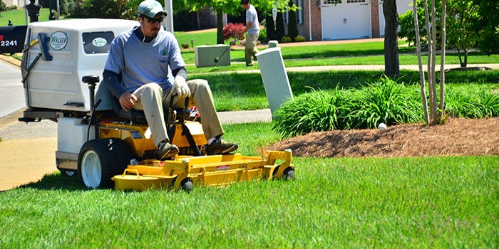 Lawn Cutting Service in Bell